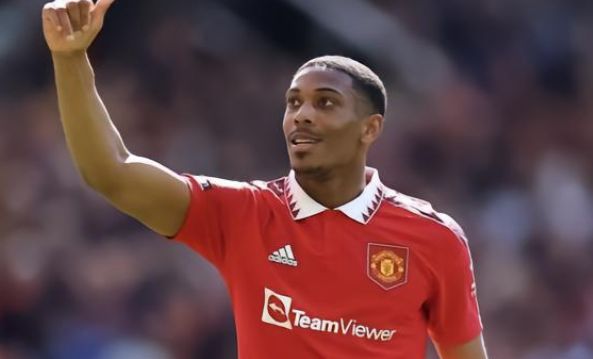 验和专业能 验和专业能